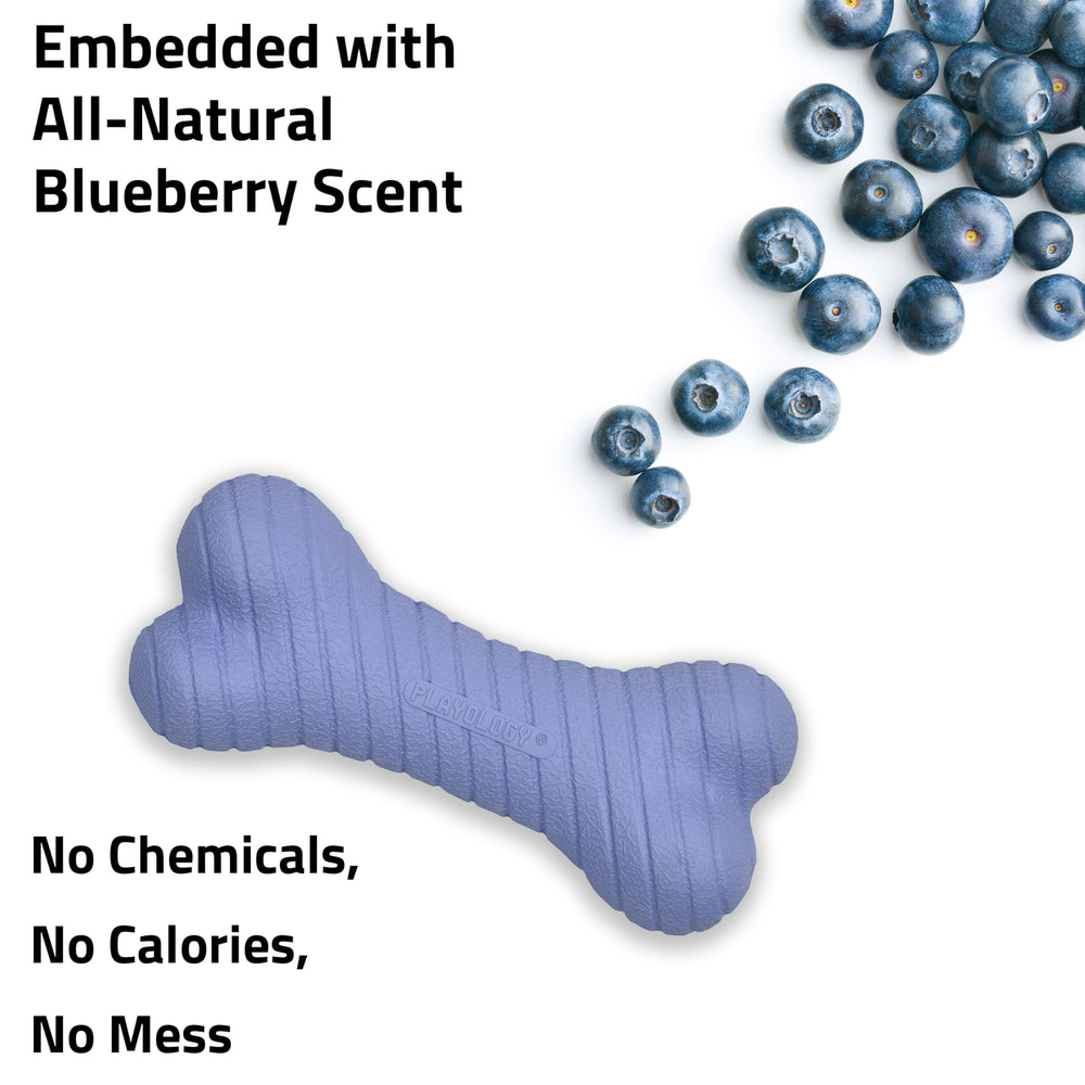 Playology non-toxic dog toy that's easy to clean after play sessions.