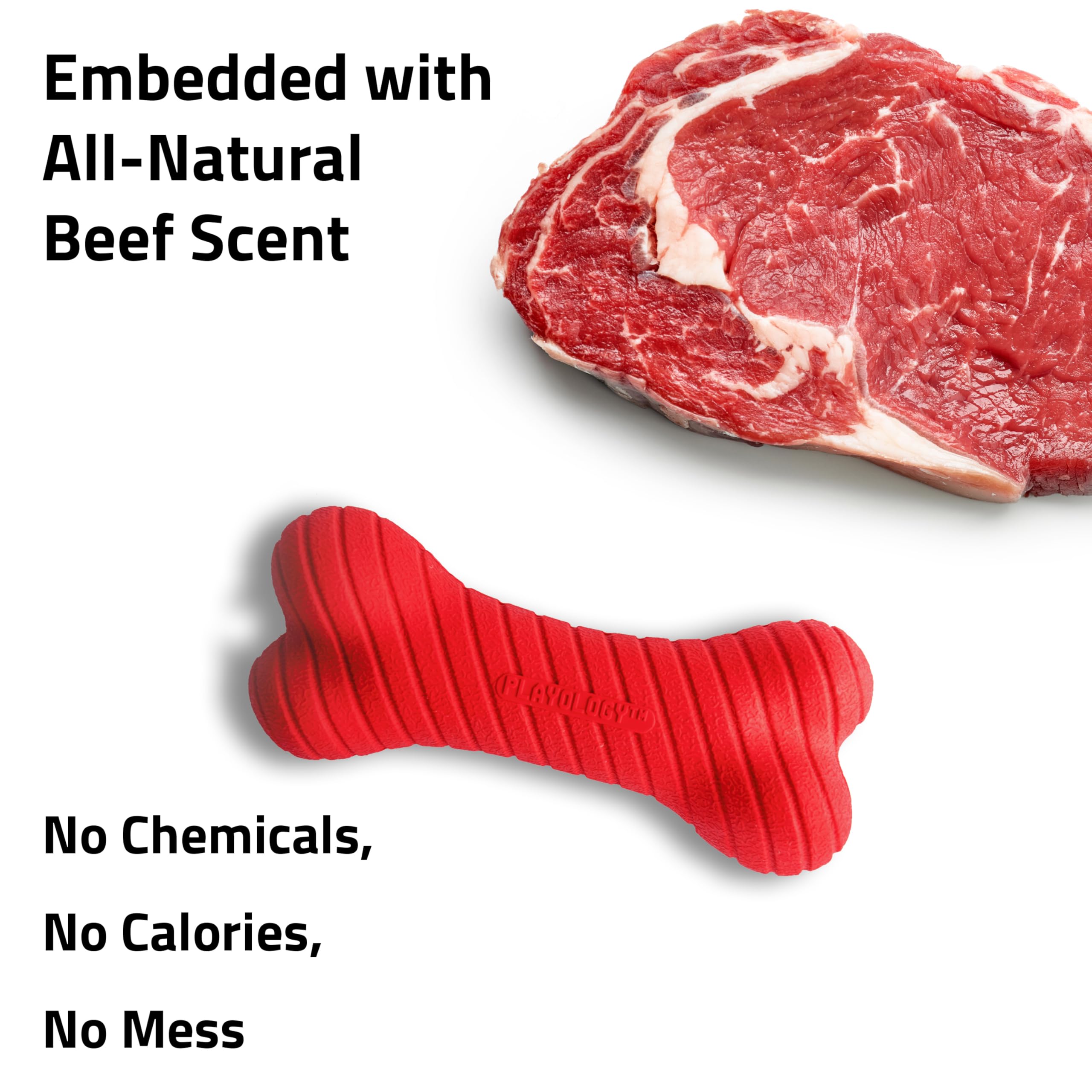 Playology bone toy, non-toxic and easy-to-clean.