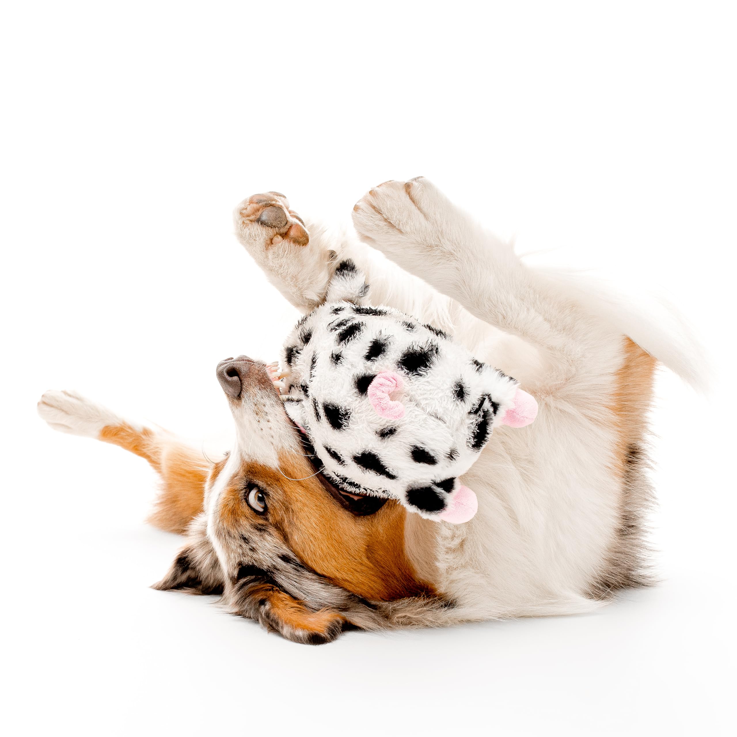 Playology Plush Pig washable toy keeps cleanup simple between fetch sessions.