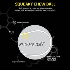 Durable Playology ball for indoor and outdoor chew sessions.