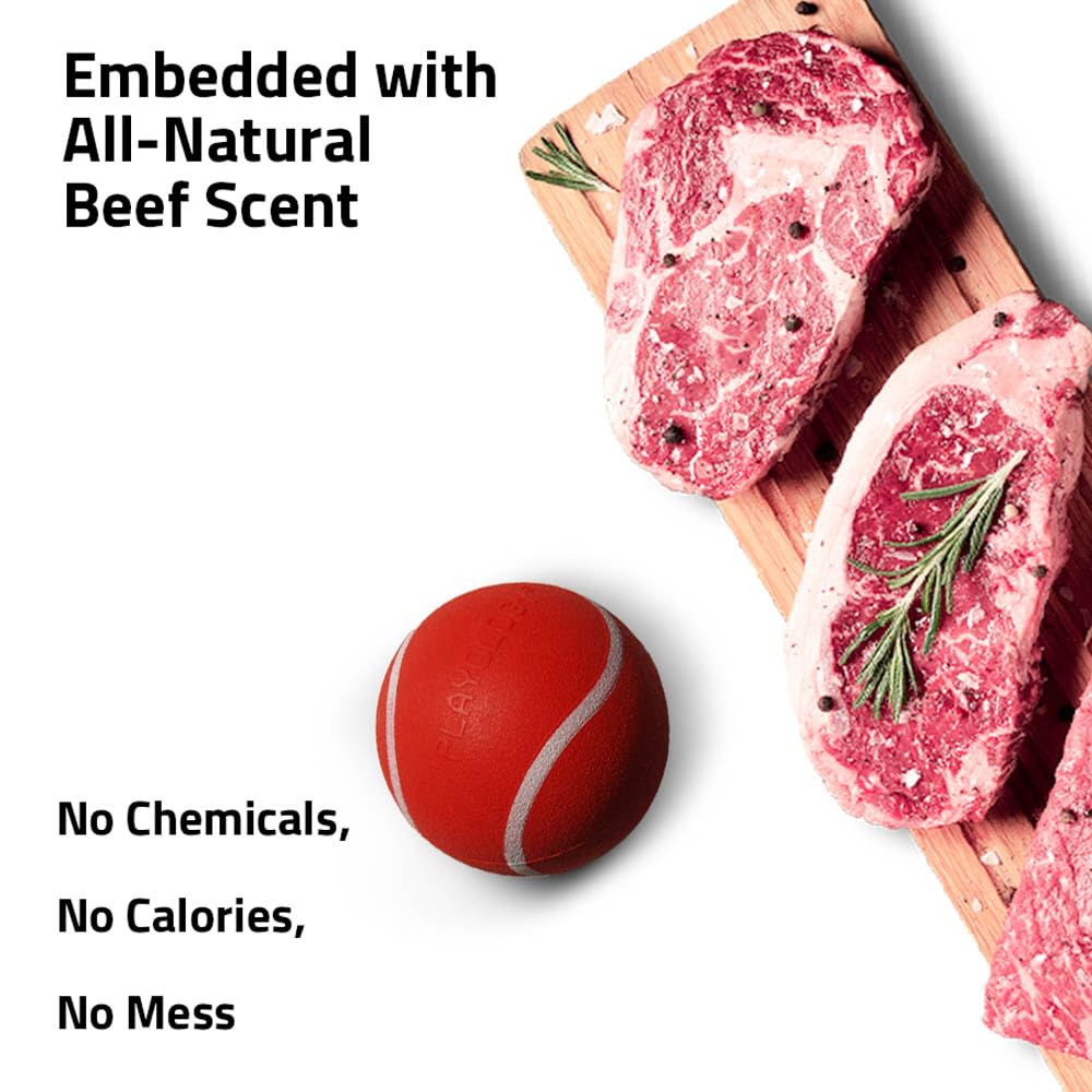 Playology squeaky chew ball easy-clean non-toxic design; top-rack dishwasher safe
