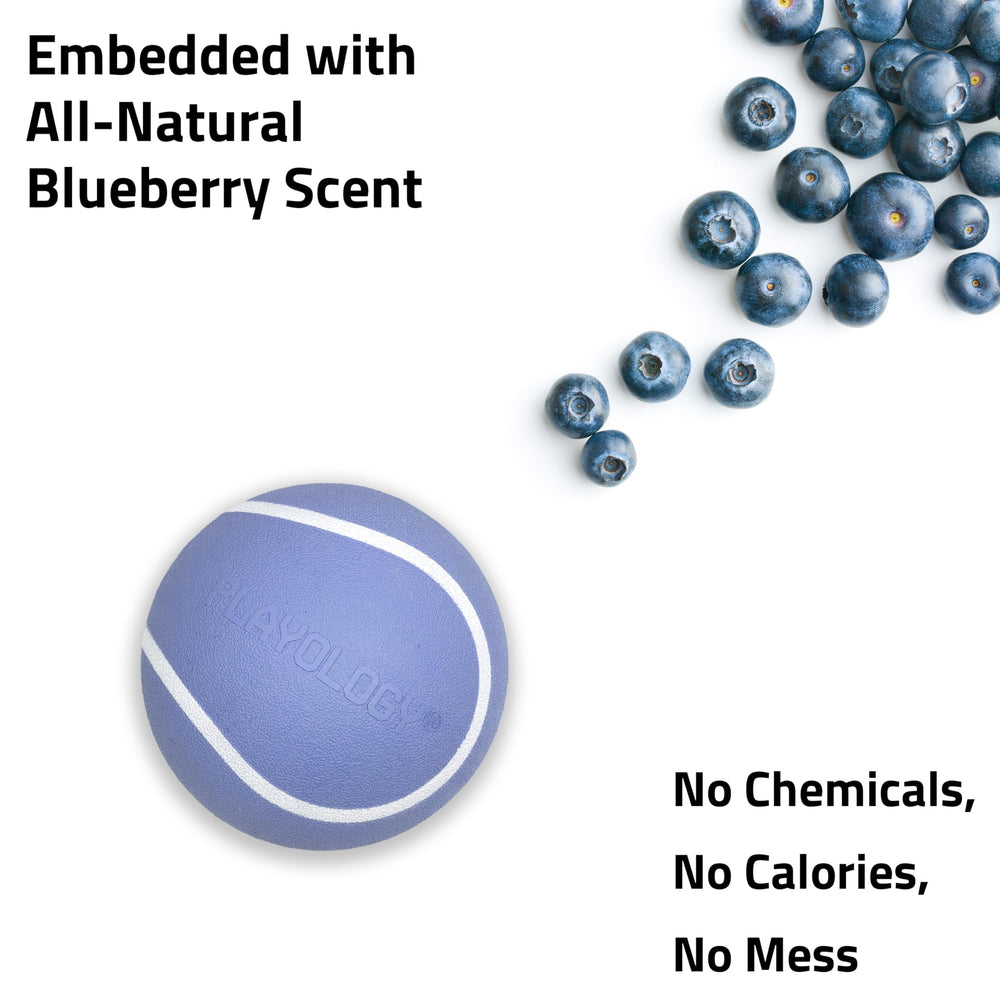 Floating Playology Squeaky Chew Ball in water for pool days