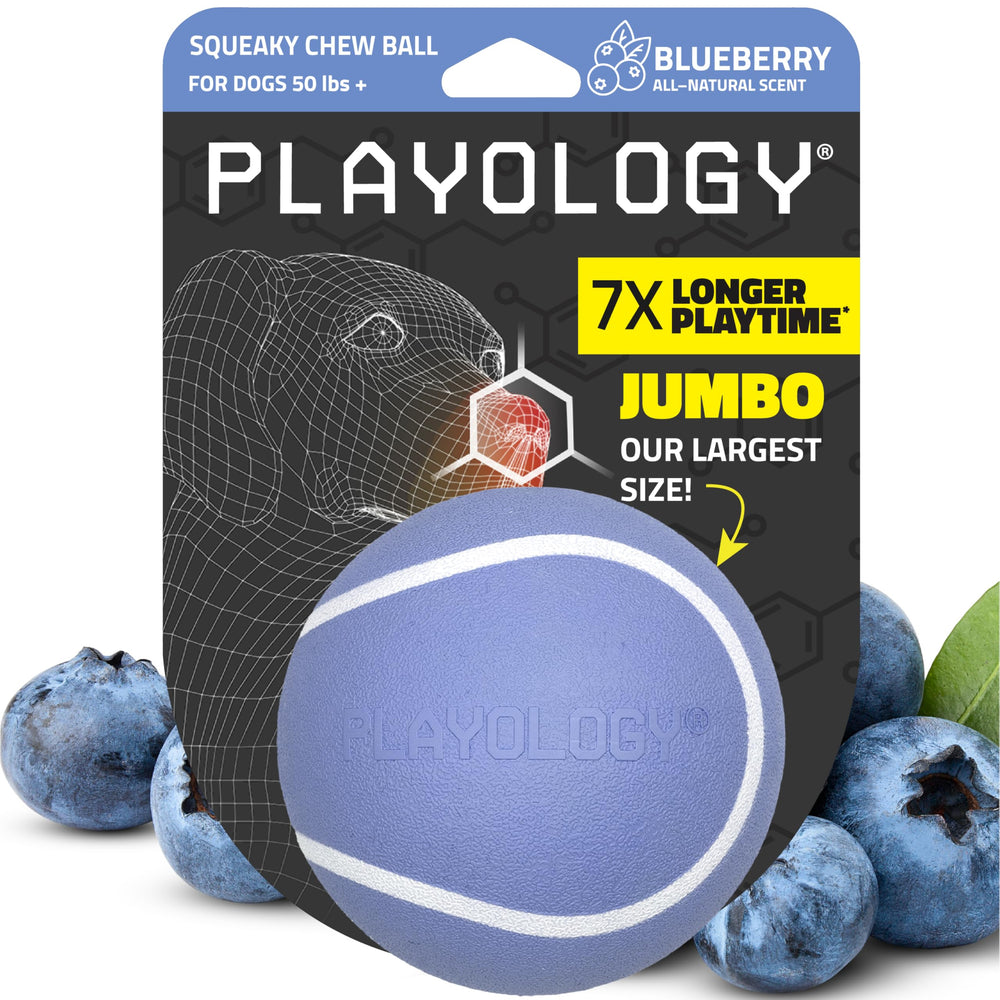 Playology Squeaky Chew Ball in large blueberry color for water fetch and scent appeal