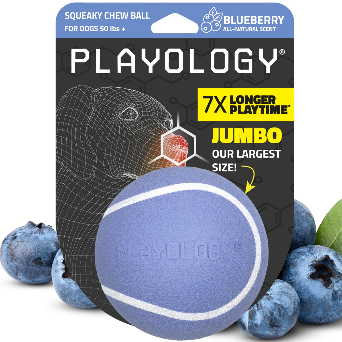 Playology Squeaky Chew Ball in large blueberry color for water fetch and scent appeal