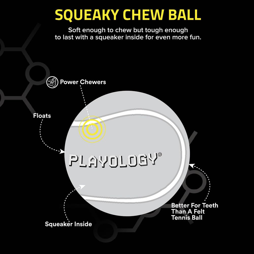 Playology squeaky chew ball medium dog outdoors; durable rubber for indoor outdoor fun