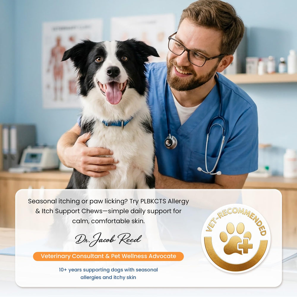 PLBKCTS dog with glossy coat after regular use.