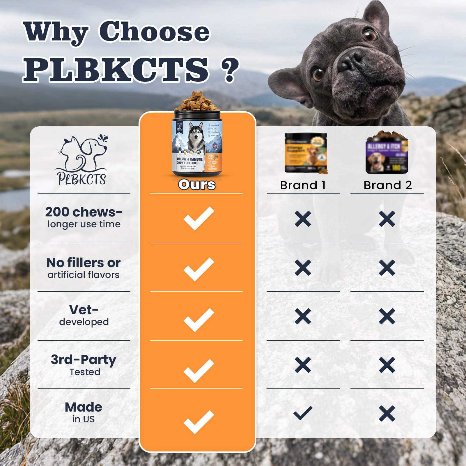 PLBKCTS dog happily chews after meals, showing daily use.