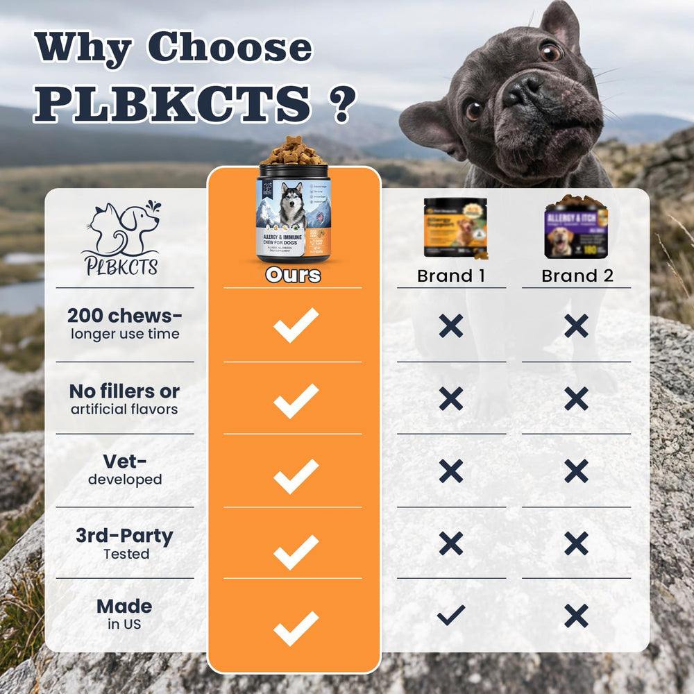PLBKCTS dog happily chews after meals, showing daily use.