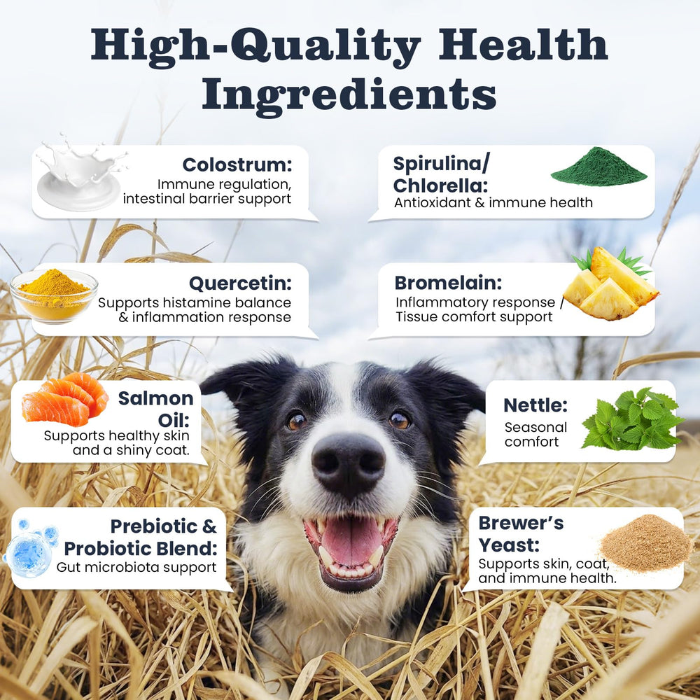 PLBKCTS ingredients scene highlights salmon oil and probiotics for gut support.