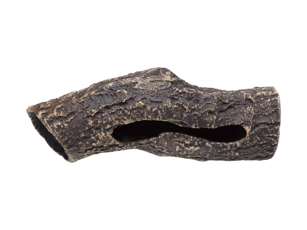 Plecoceramics compatible with cichlids and bettas without crowding.