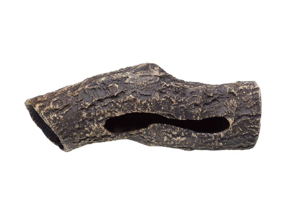 Plecoceramics compatible with cichlids and bettas without crowding.