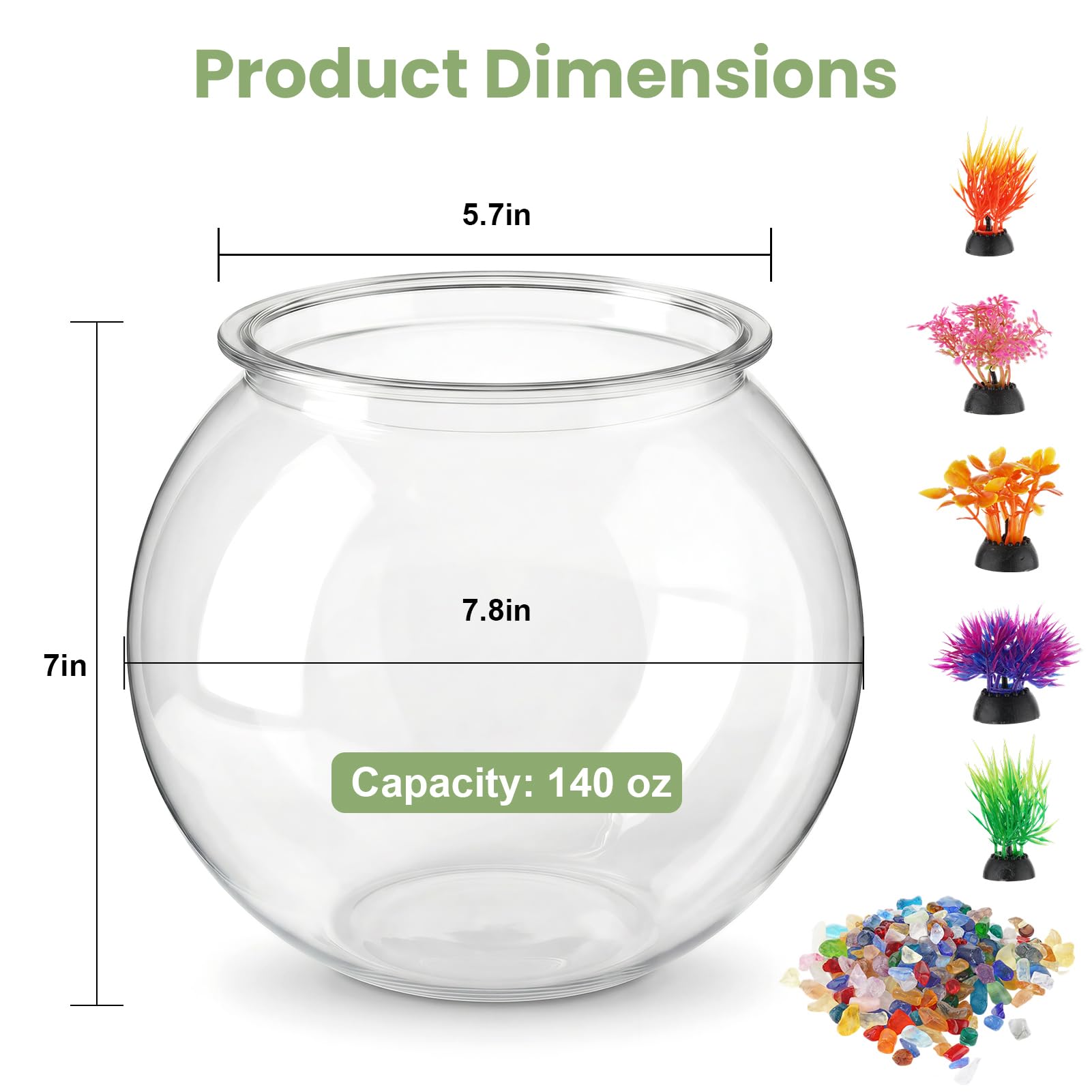Plus tard plastic aquarium with five artificial plants for a ready-to-use display.