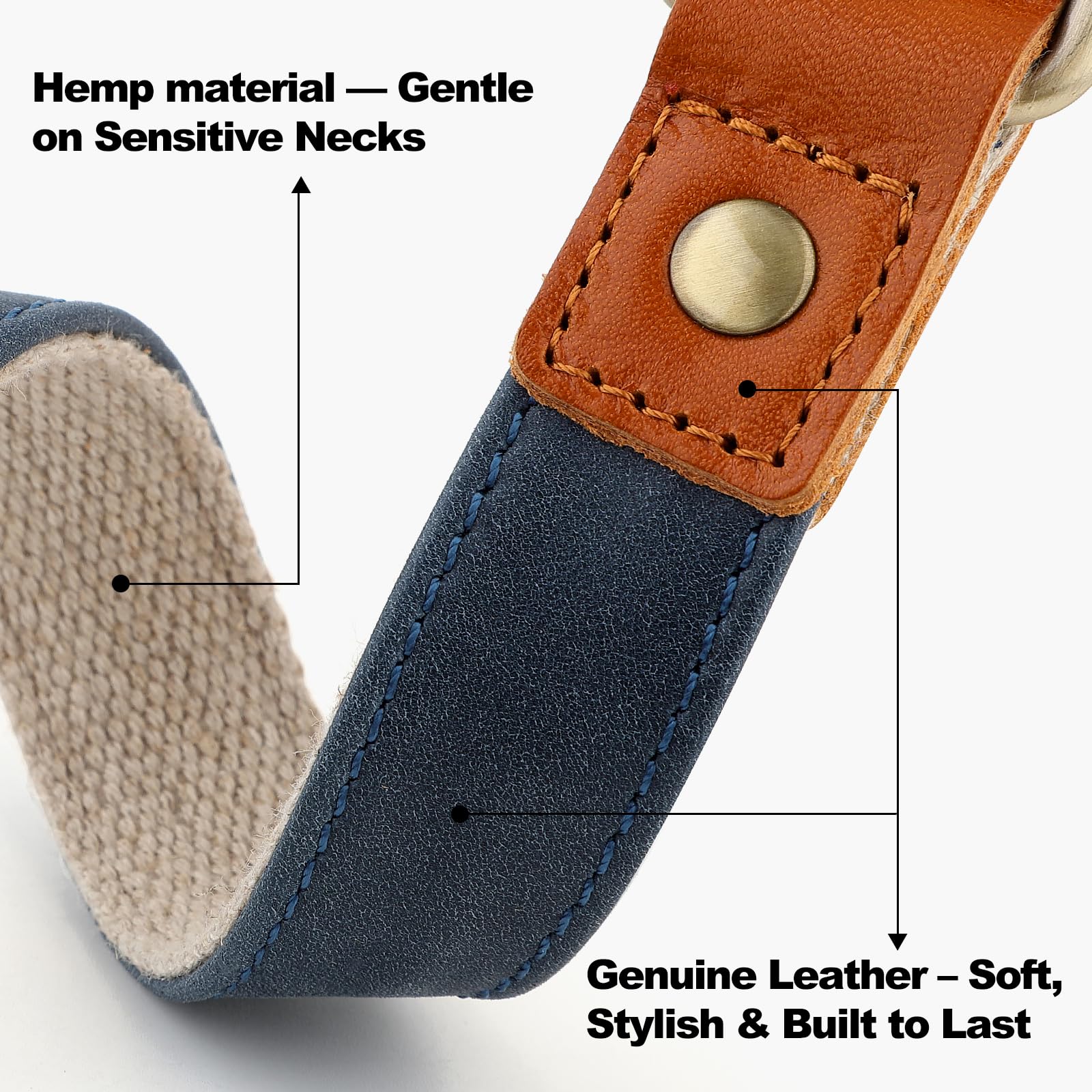 Plutus Pet adjustable blue collar on a growing dog for a secure fit