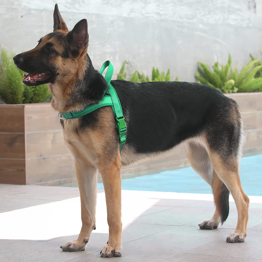 Plutus Pet adjustable green XL harness fits large dogs securely.