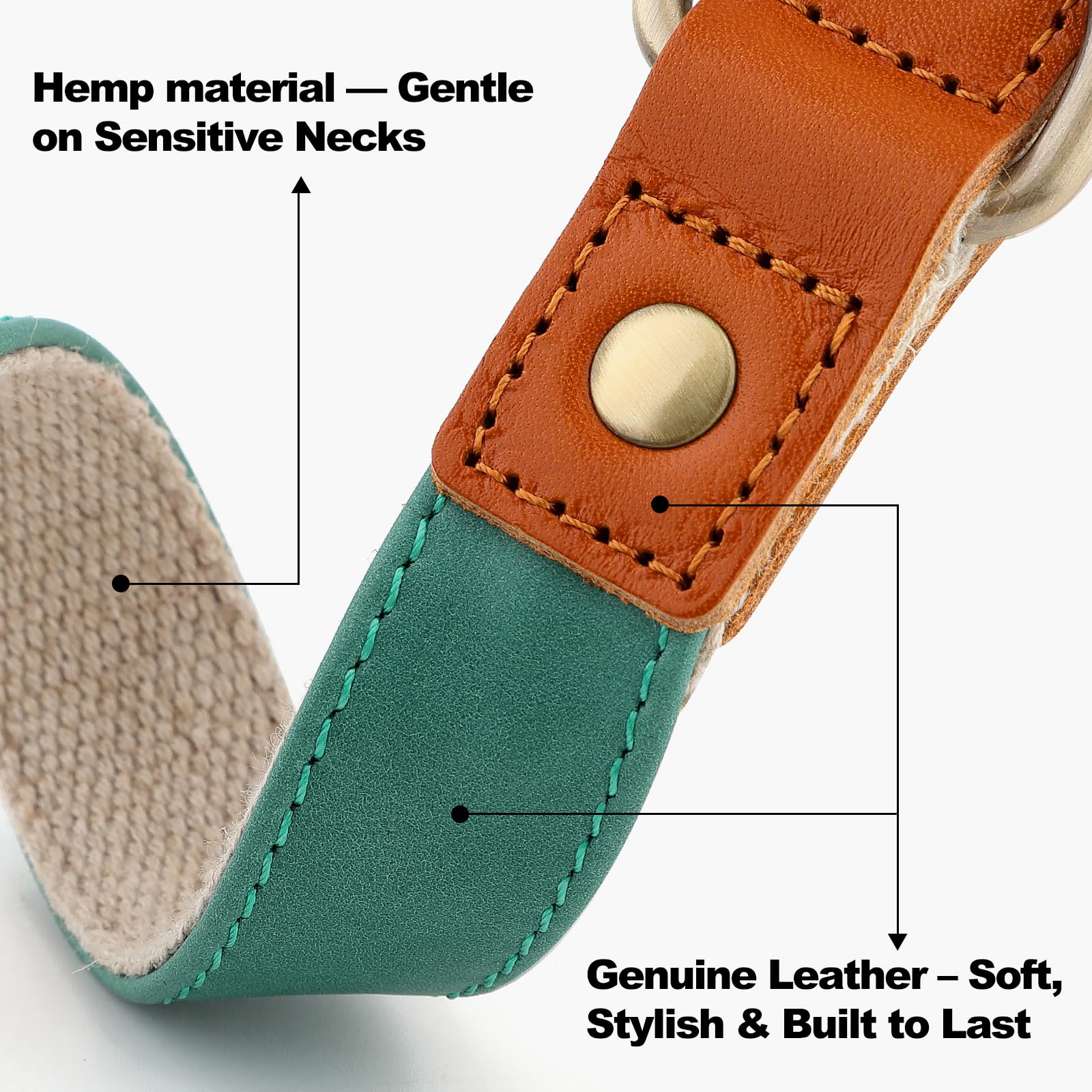 Plutus Pet adjustable heavy-duty collar ensures secure, comfortable fit