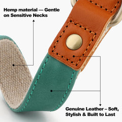 Plutus Pet adjustable heavy-duty collar ensures secure, comfortable fit
