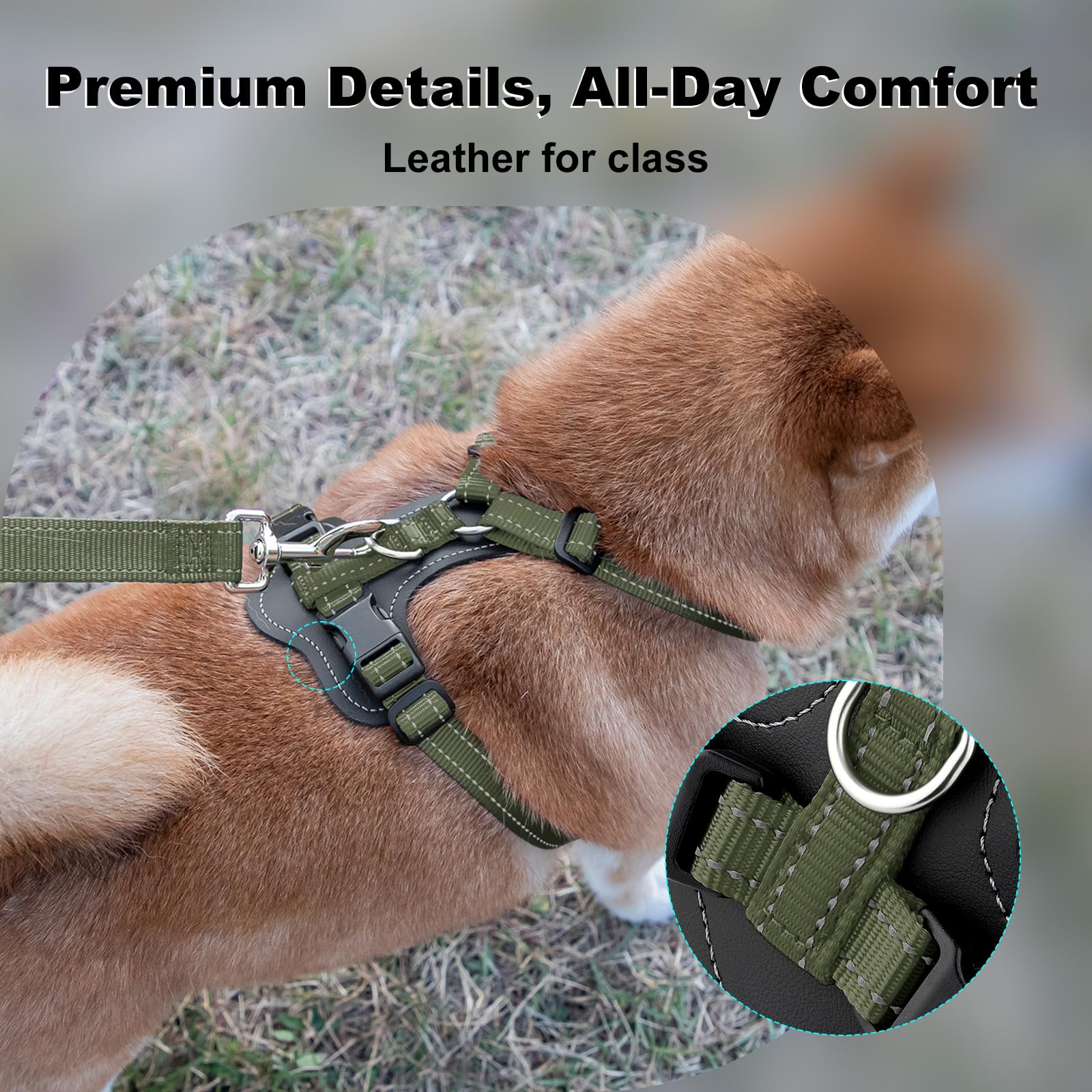 Plutus Pet adjustable no-pull harness with back clip for everyday walks