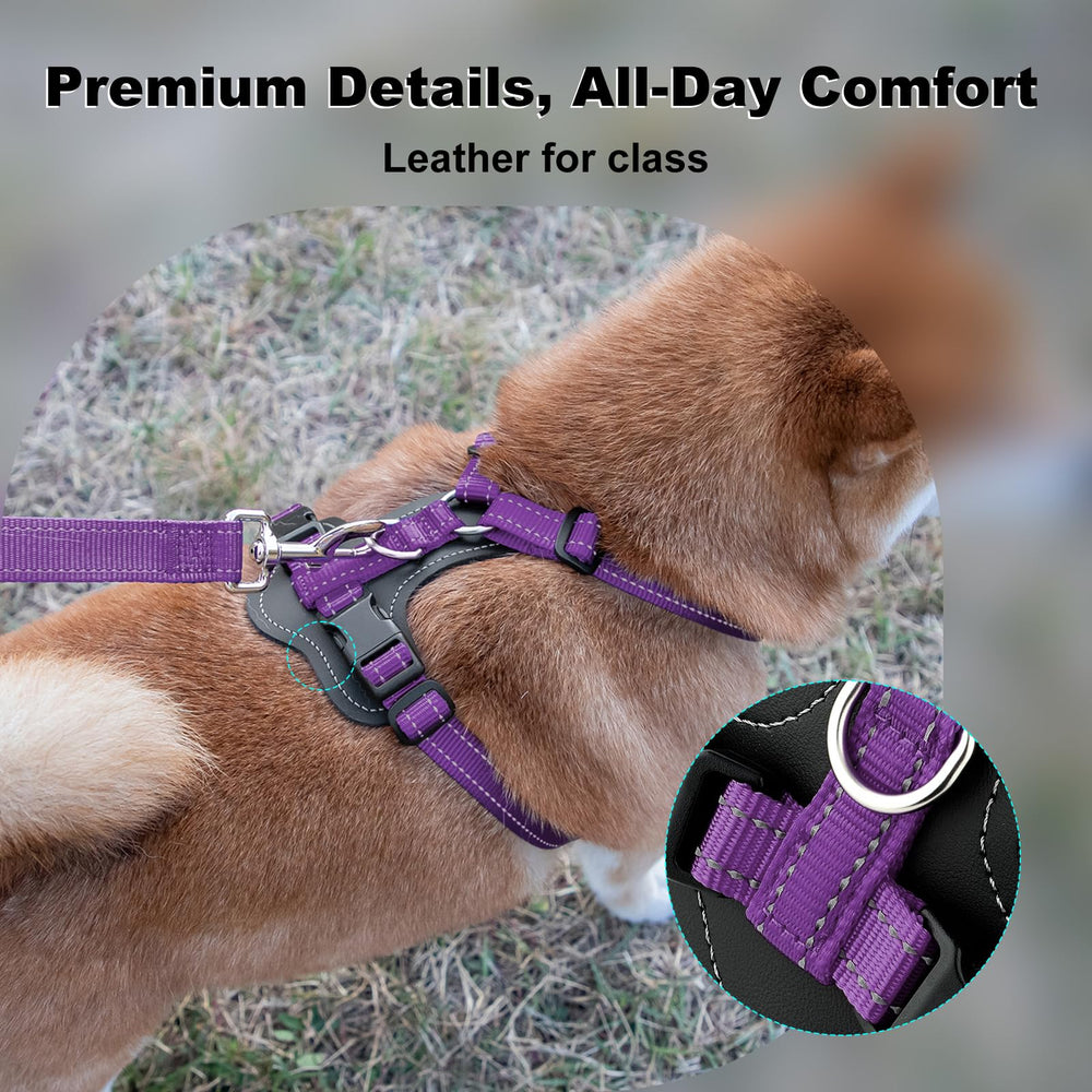 Plutus Pet adjustable no-pull harness back clip for relaxed daily walks.