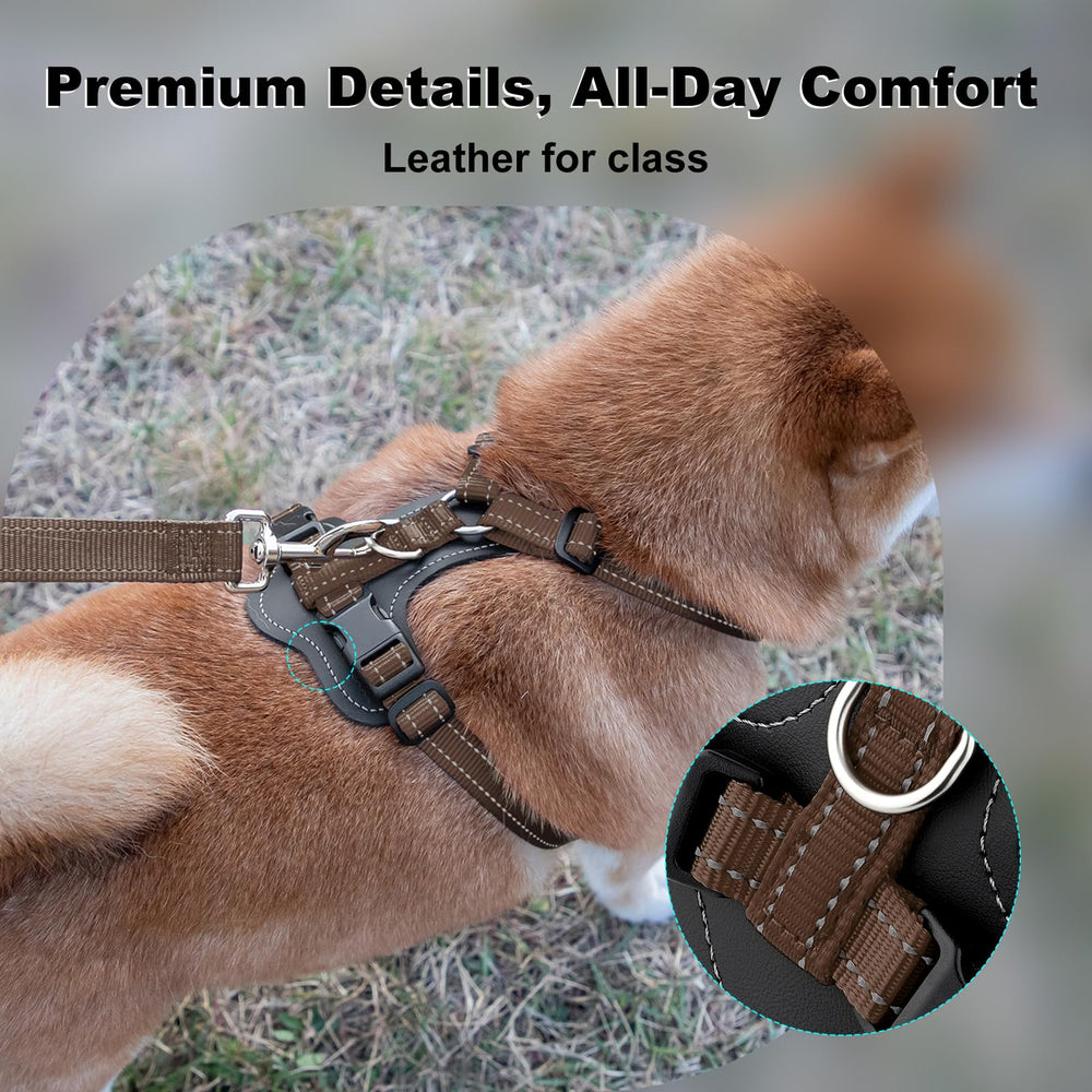PLUTUS PET harness back clip for comfortable everyday walks with secure fit
