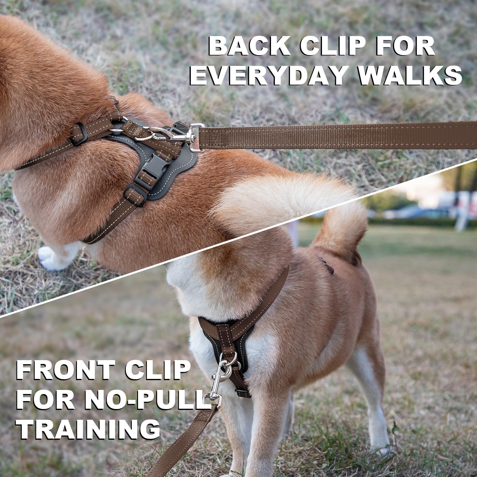 PLUTUS PET harness with leather accents blends durability for outdoor adventures