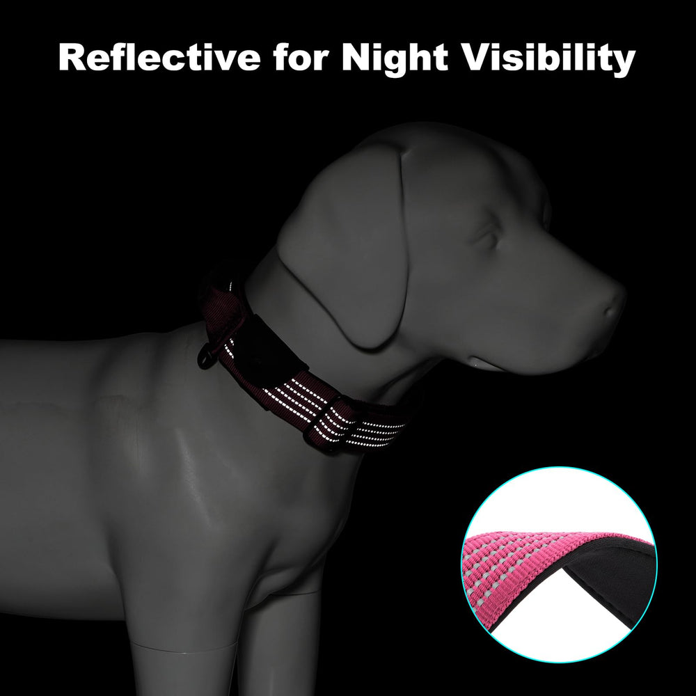 Plutus Pet collar with Airtag pocket for outdoor safety and tracking
