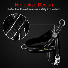 Plutus Pet Back O-ring for casual walking, jogging, or hiking.