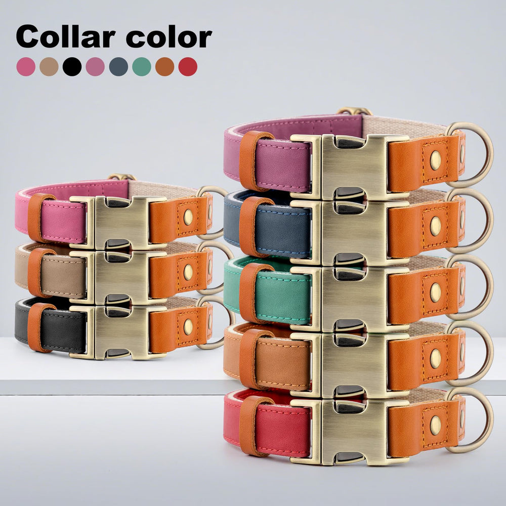 Plutus Pet blue color dog collar showcasing durable everyday use