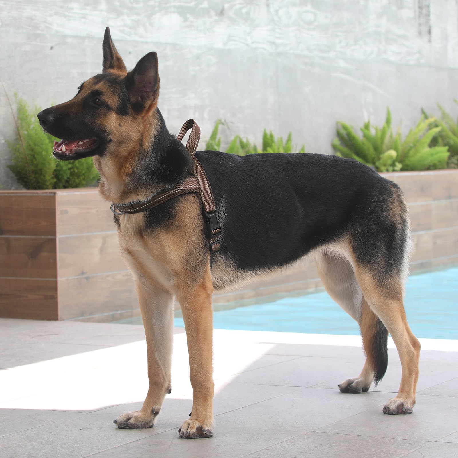 PLUTUS PET chocolate harness suits larger dogs with comfortable, secure wearing