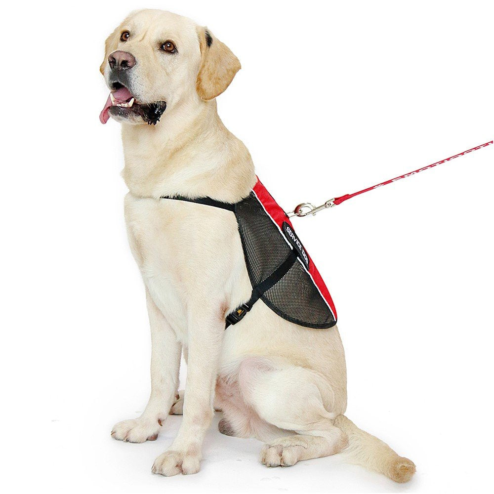 PLUTUS PET harness with easy-on, easy-off design for quick dressing.