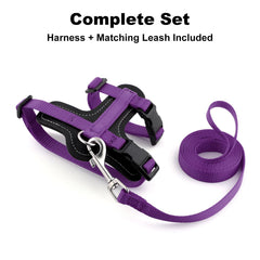 Plutus Pet escape-proof harness delivers a secure fit for curious cats.