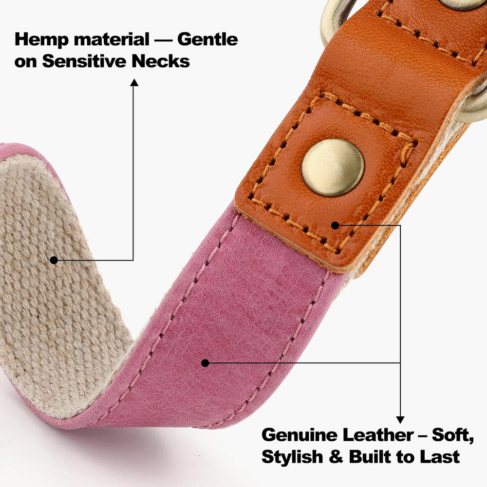 Close-up of Plutus Pet pink collar showing soft hemp blend and sturdy buckle