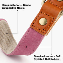 Close-up of Plutus Pet pink collar showing soft hemp blend and sturdy buckle