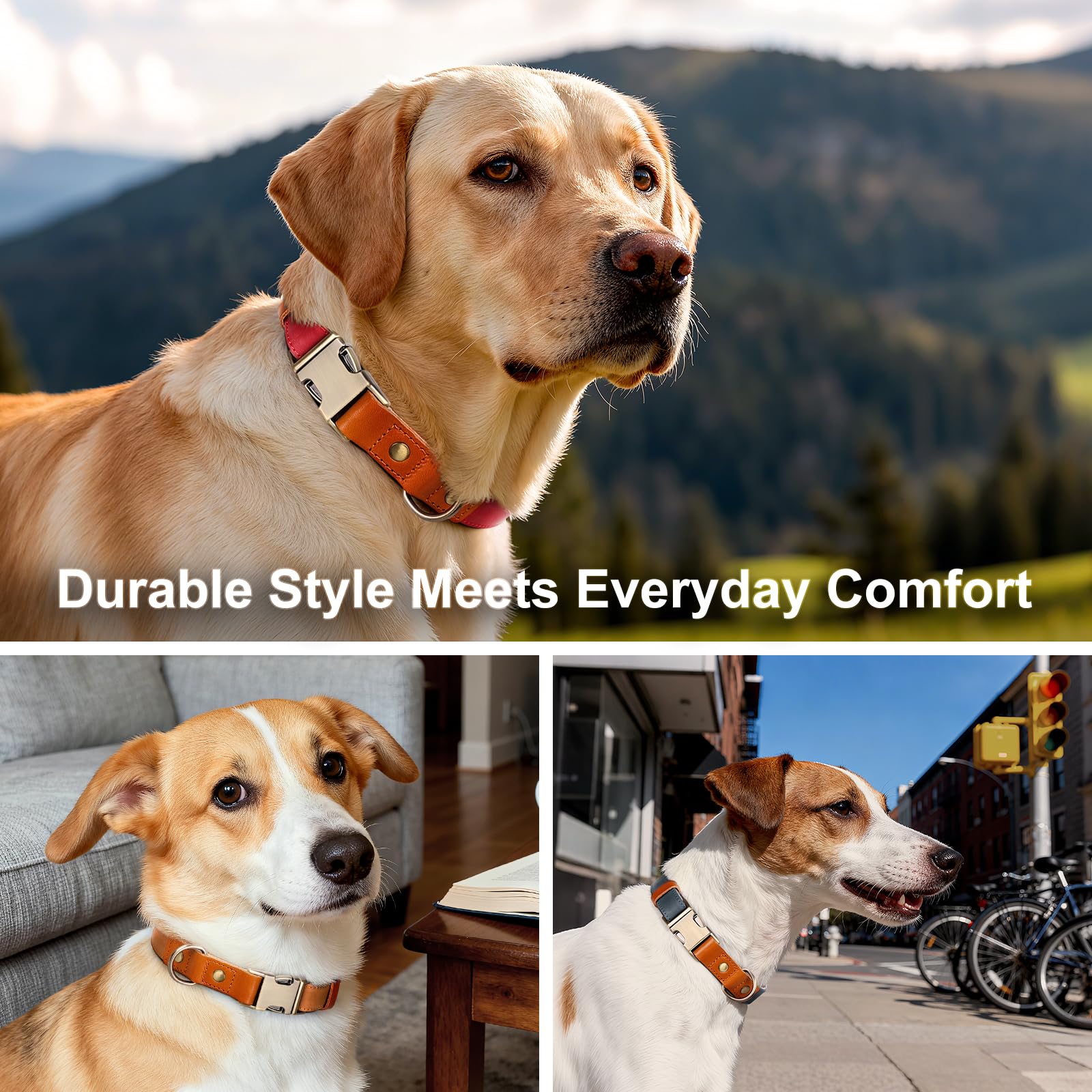 Plutus Pet grow-with-dog design keeps a consistent fit over time