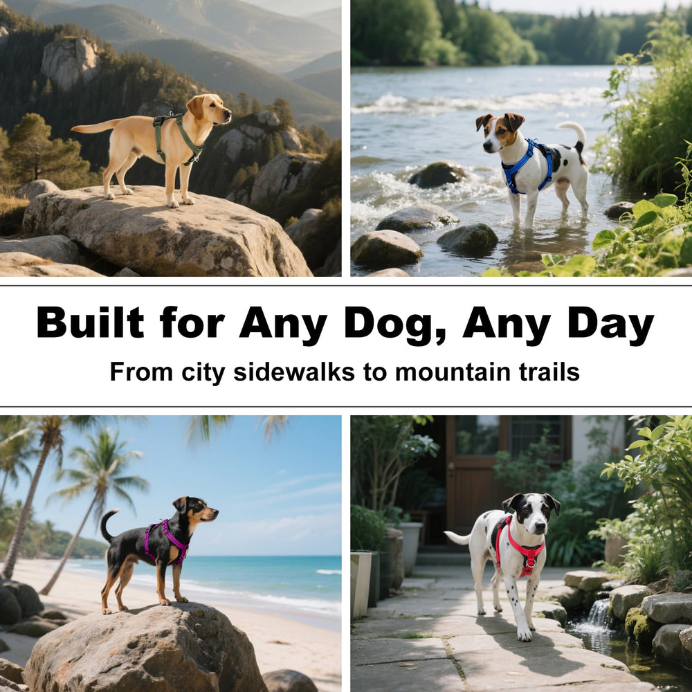 Plutus Pet quick-snap buckles for fast easy on/off before park visits