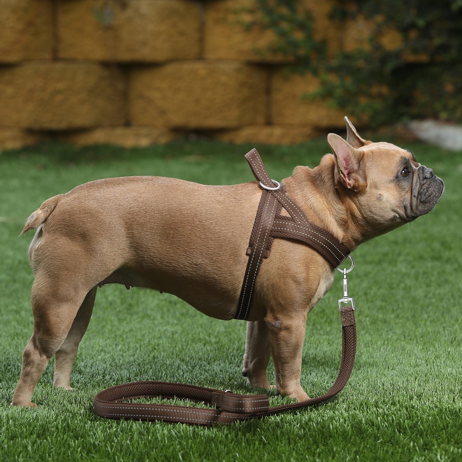 Heavy-duty nylon strap ensures long-lasting durability.