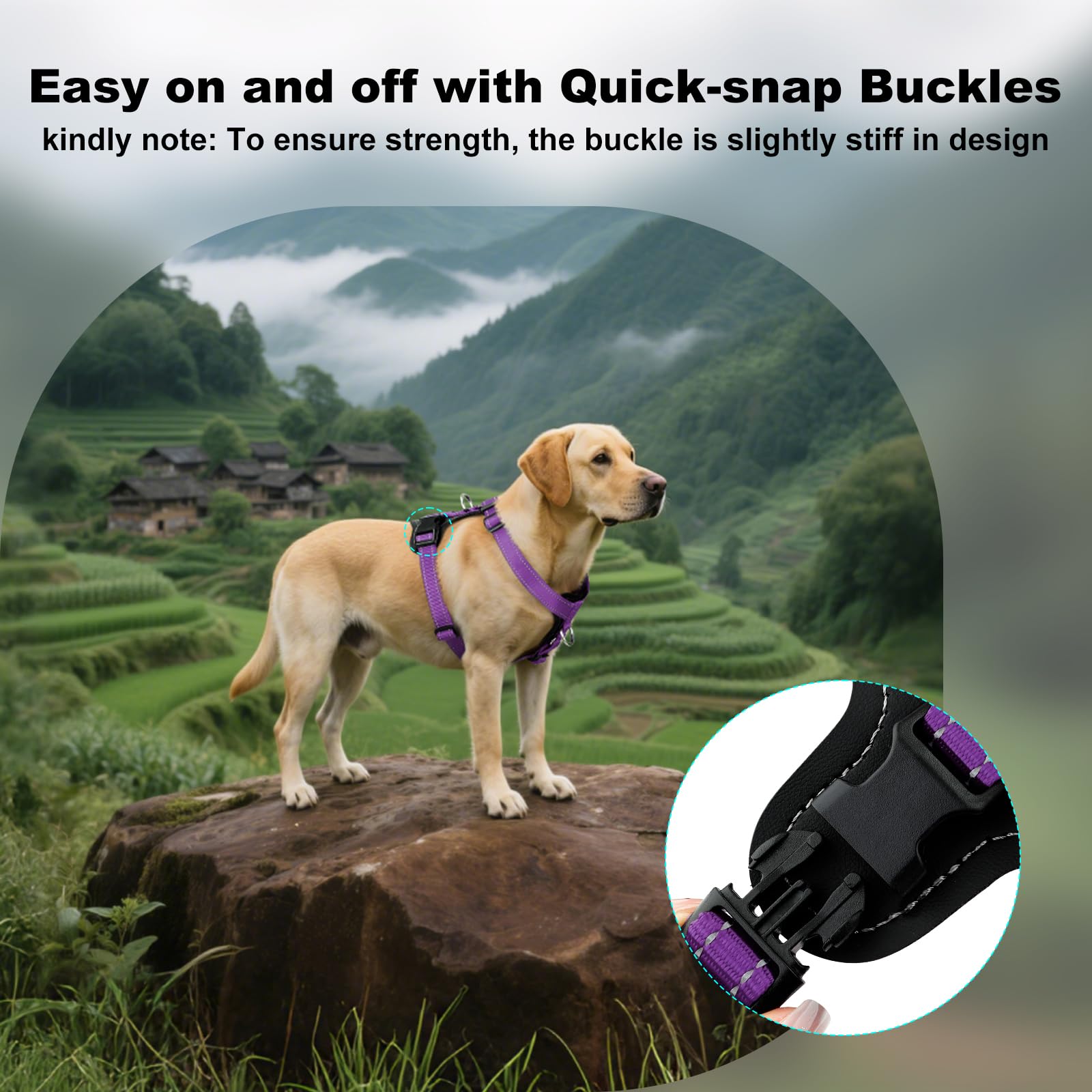 Plutus Pet quick-snap buckles enable fast, hassle-free gear-up.