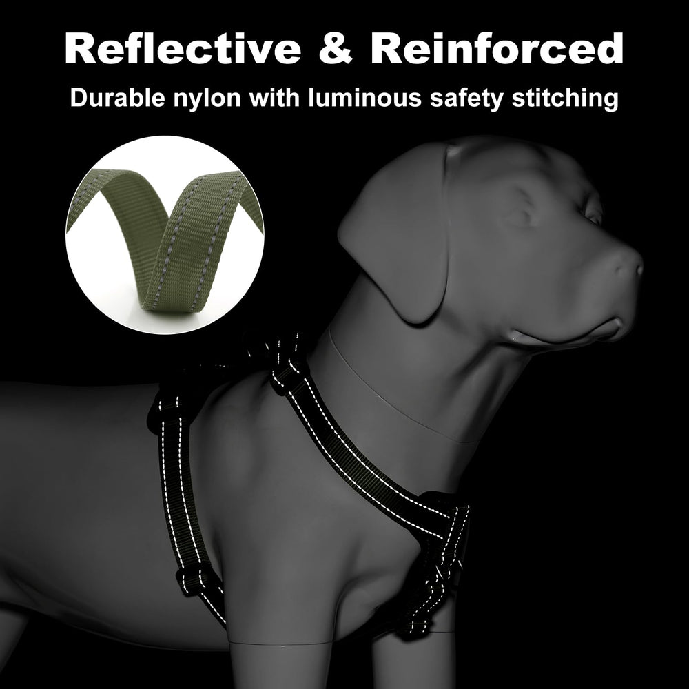 Plutus Pet reflective stitching for high visibility during low-light walks