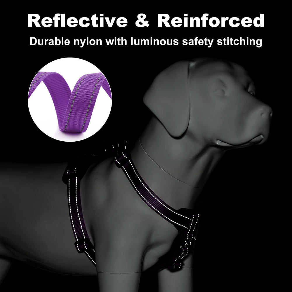 Plutus Pet reflective stitching keeps your dog visible in low light.