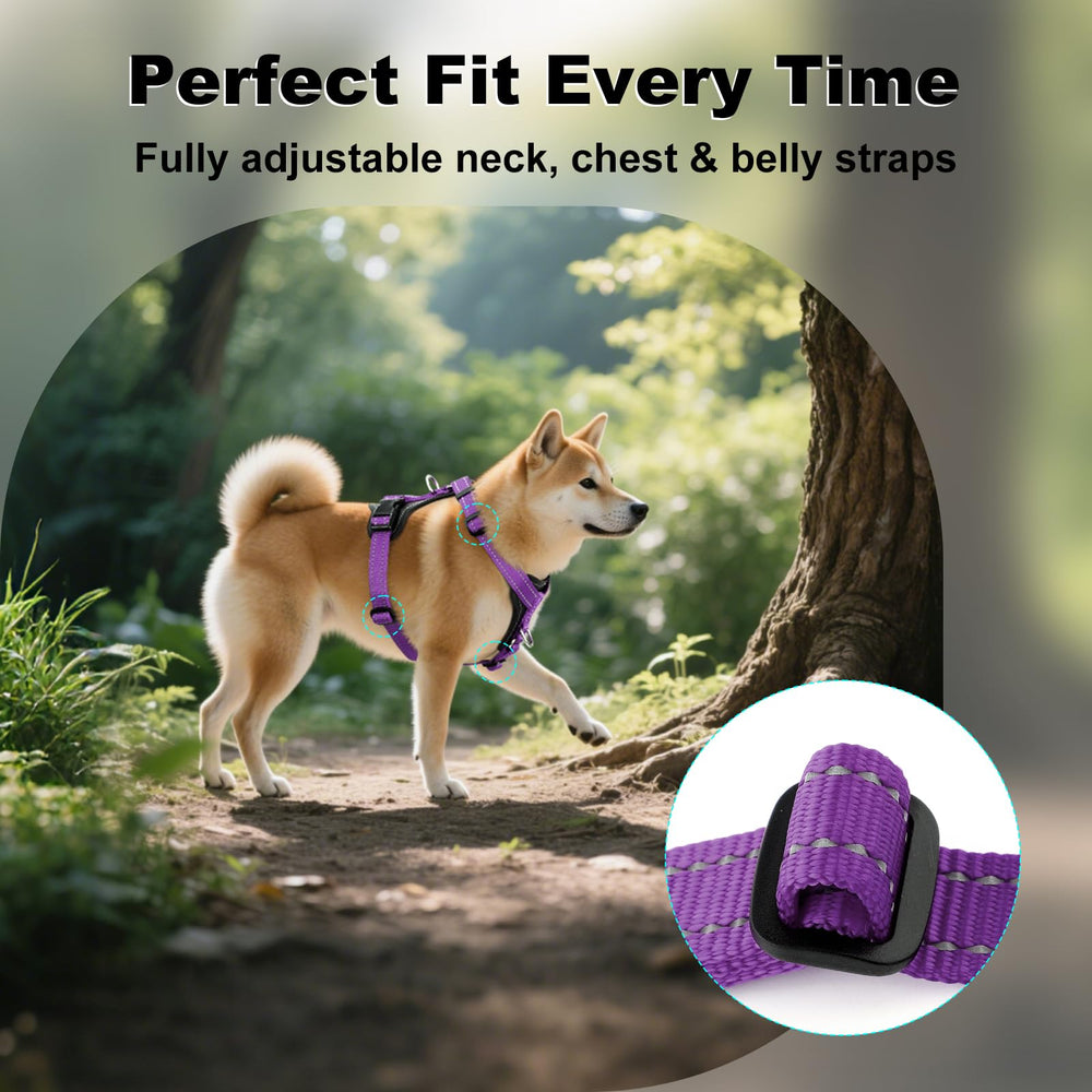 Plutus Pet soft breathable nylon harness minimizes chafing on adventures.