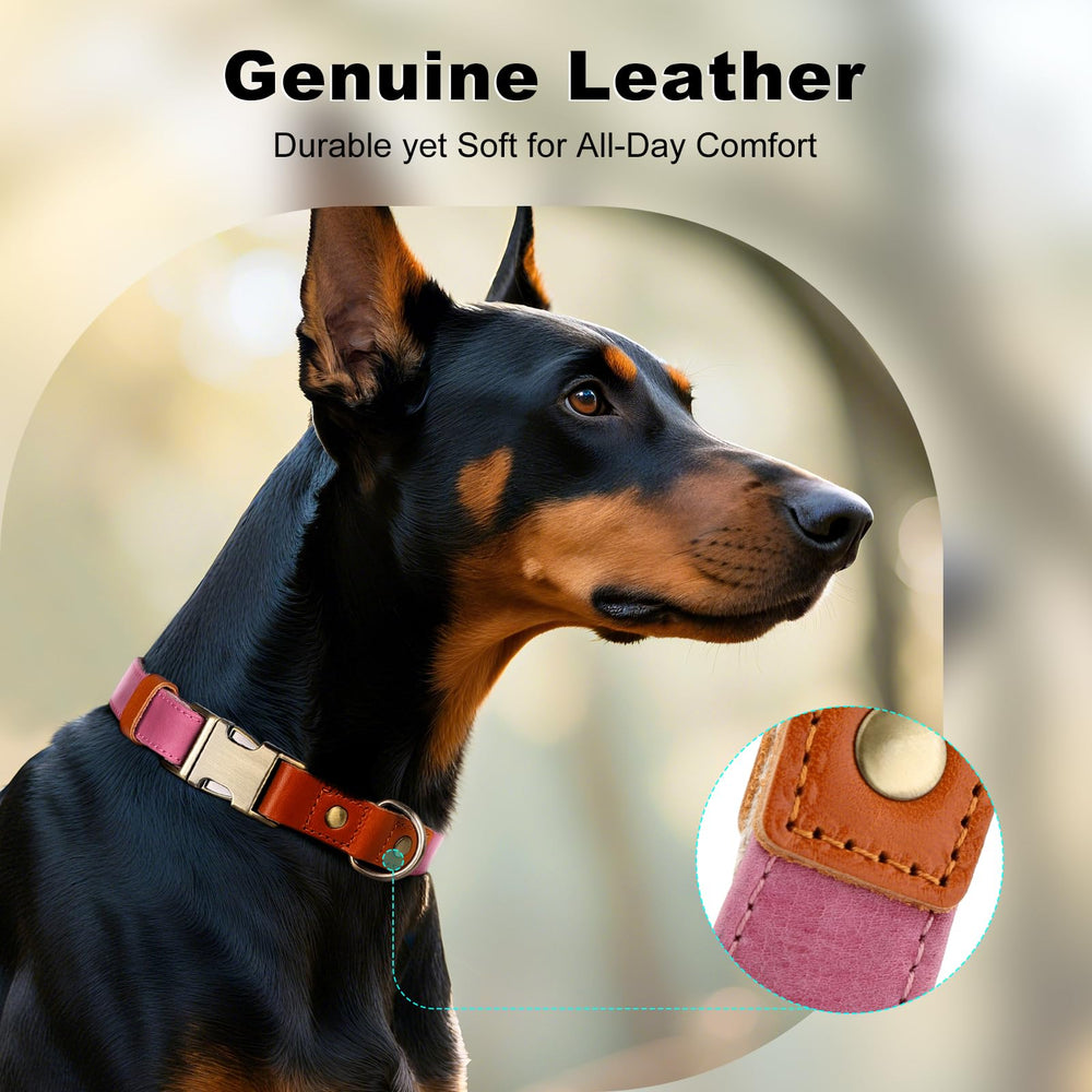 Plutus Pet heavy-duty hardware on pink dog collar ready for adventures