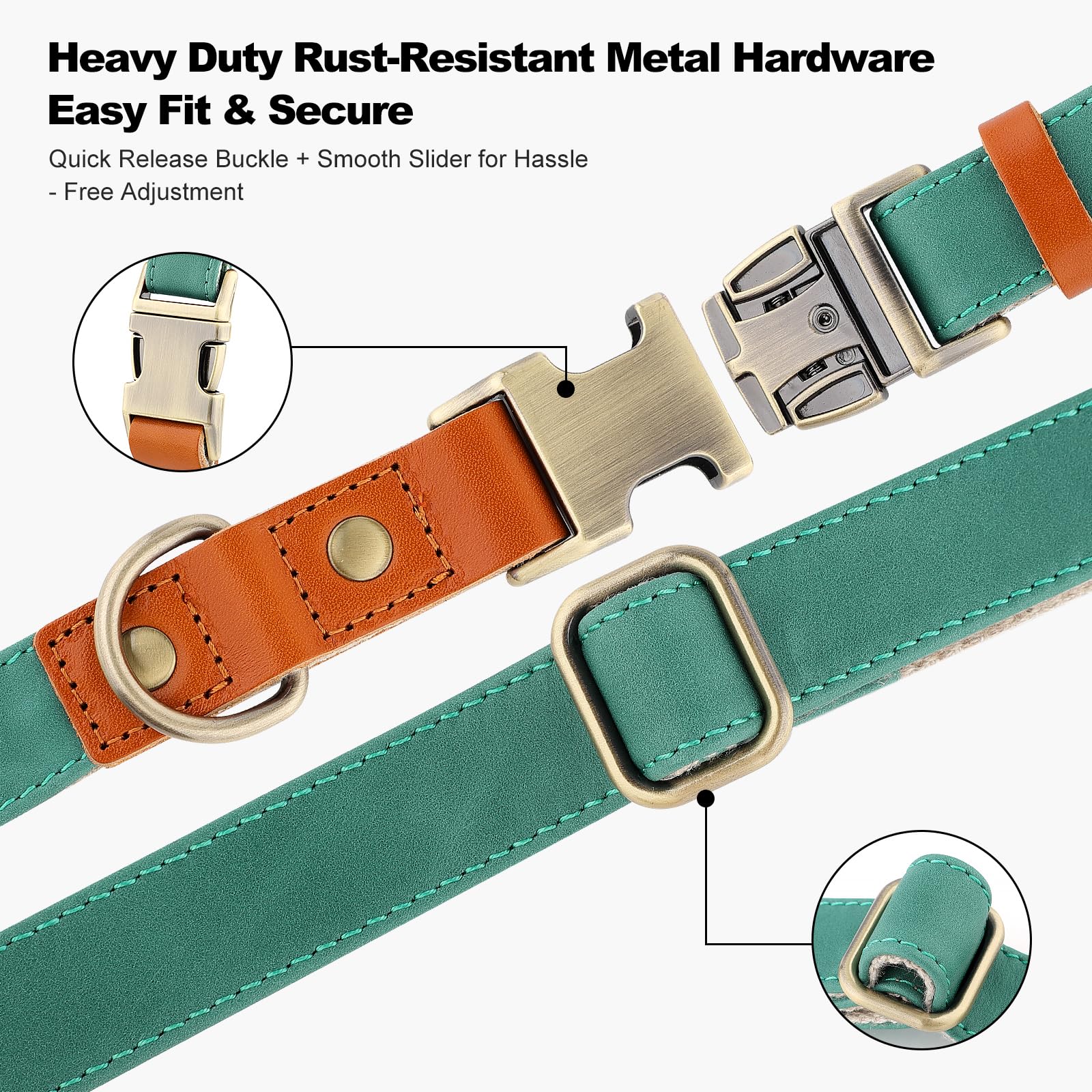 Plutus Pet heavy-duty hardware collar withstands active daily adventures