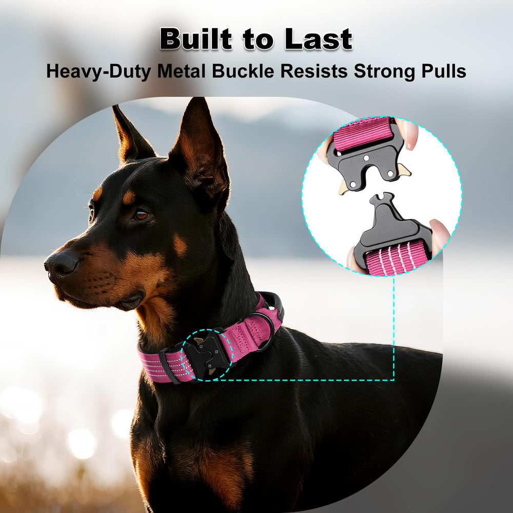 Plutus Pet collar with leather-wrapped handle for quick control