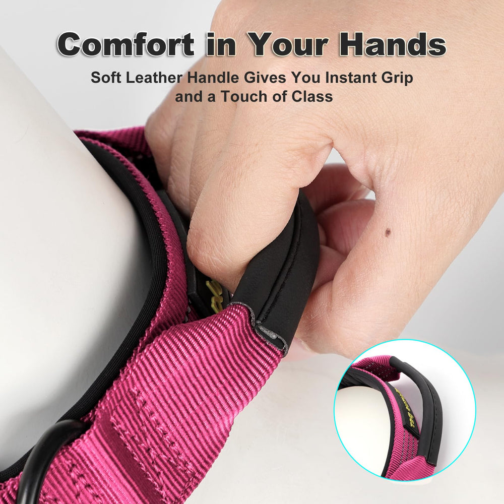 Plutus Pet collar with a heavy-duty metal buckle for secure fit