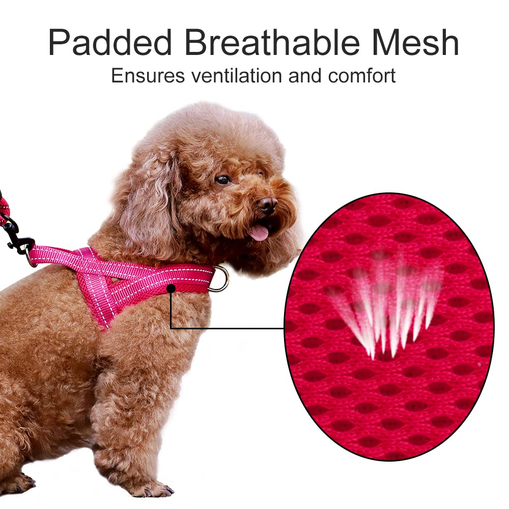 Night safety: Plutus Pet harness with reflective stitching for visibility.
