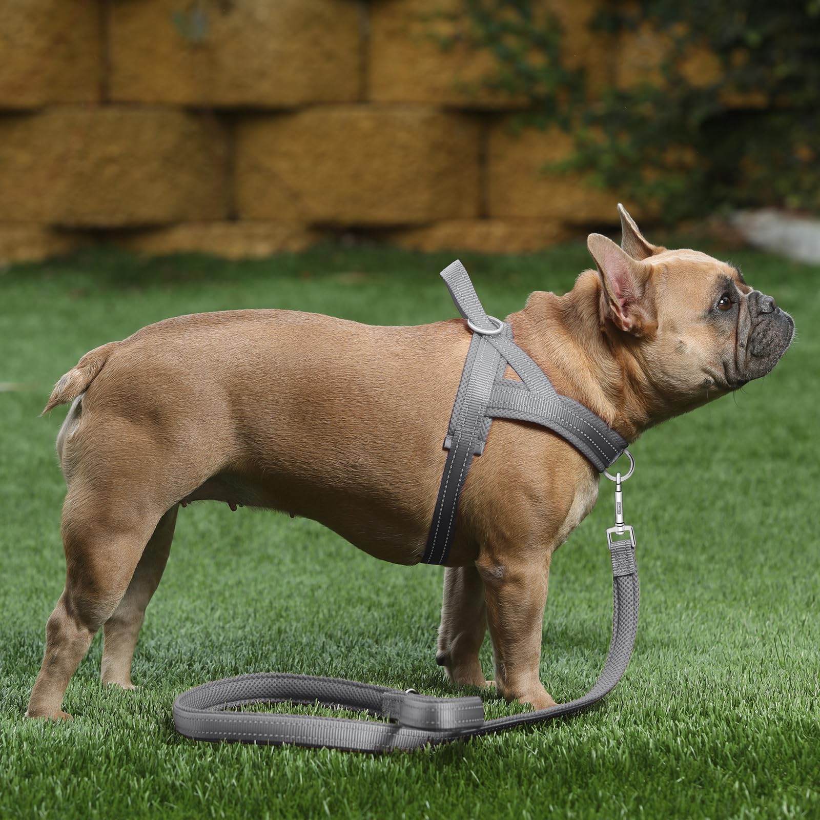 PLUTUS PET harness adjustable nylon straps provide a secure, durable fit.