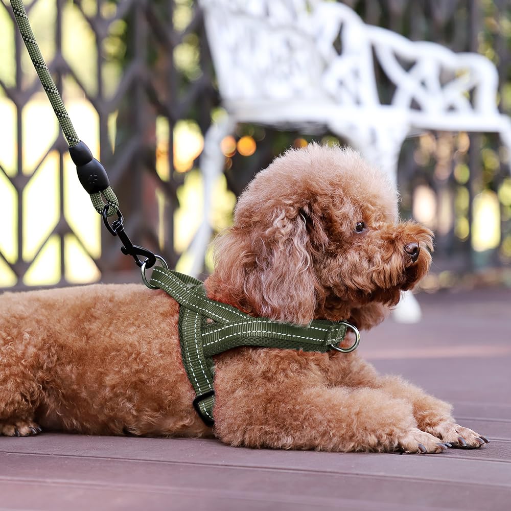 PLUTUS PET No Pull harness chest D-ring helps reduce pulling during training