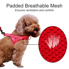Plutus Pet No Pull Harness back O-ring enables casual walking and jogging