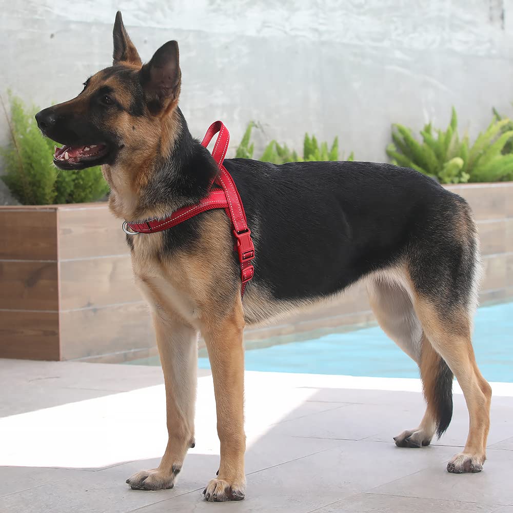 Plutus Pet No Pull harness back O-ring ideal for casual walks.