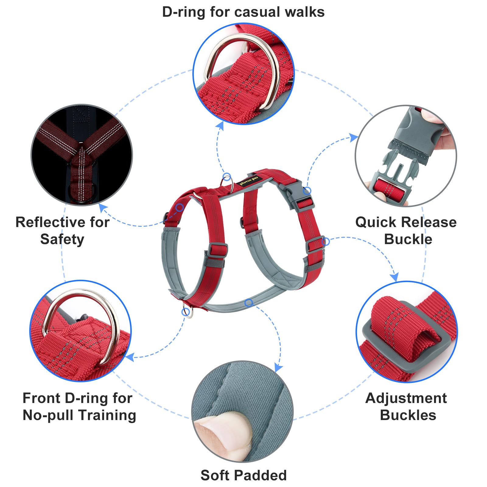 Back view of Plutus Pet No Pull harness highlights sturdy hardware for reliability