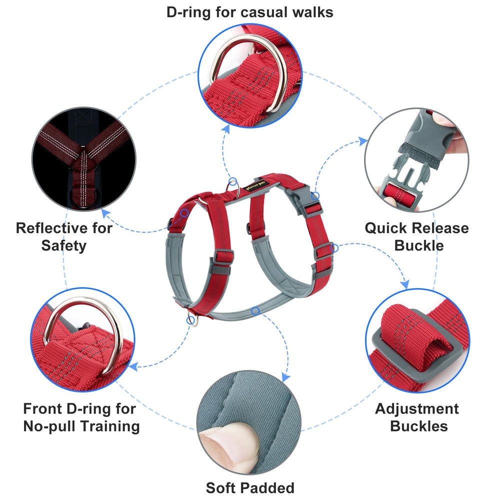 Back view of Plutus Pet No Pull harness highlights sturdy hardware for reliability